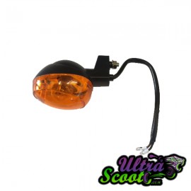 Rear Left Flasher Pgo Genuine
