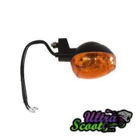 Rear Right Flasher Pgo Genuine (fit on left side)